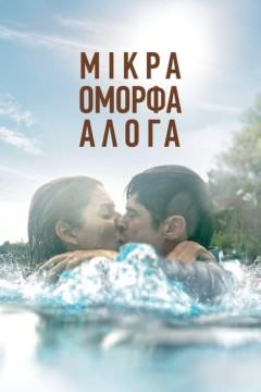 Милые лошадки