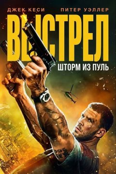 Пуля навылет