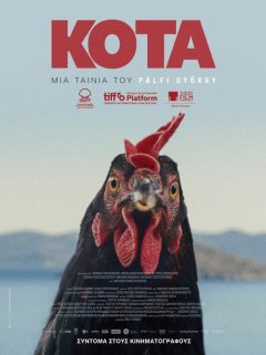 Курочка. Пух и прах