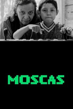 Мухи